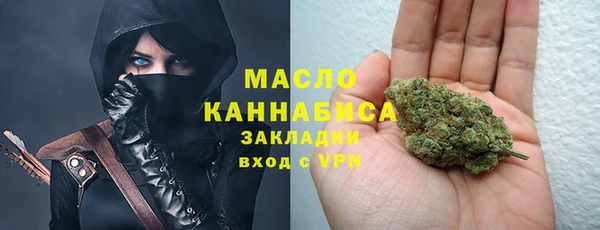 индика Козловка