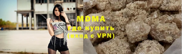 индика Козловка