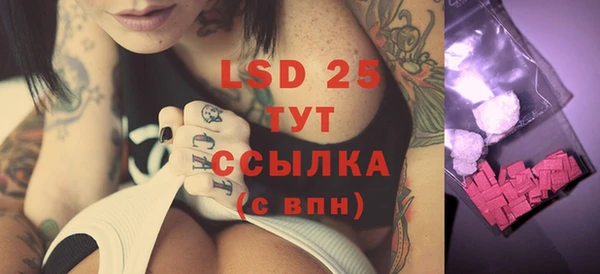 индика Козловка