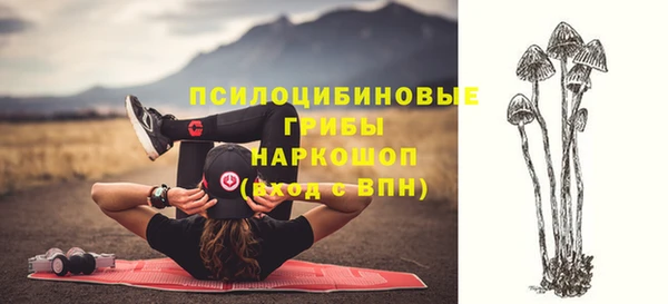 MESCALINE Кодинск
