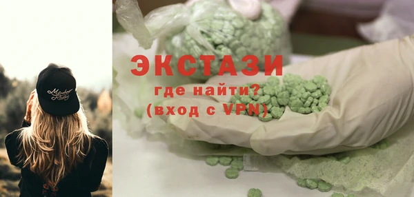 индика Козловка