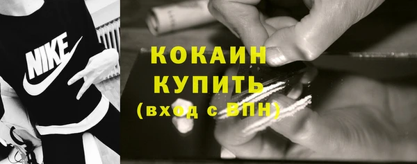 индика Козловка