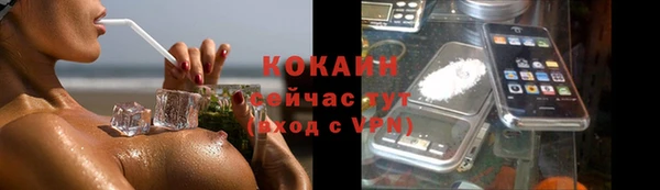индика Козловка
