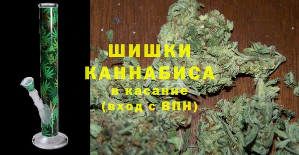 индика Козловка