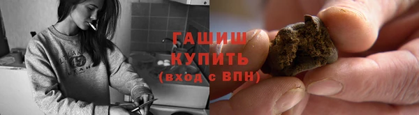 индика Козловка