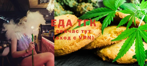 индика Козловка