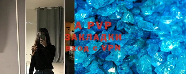 индика Козловка