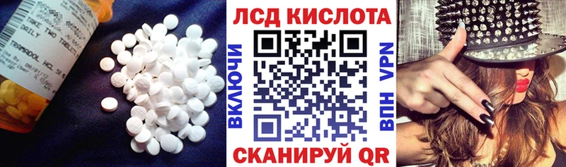 Купить закладки  Уржум  ЛСД экстази ecstasy 