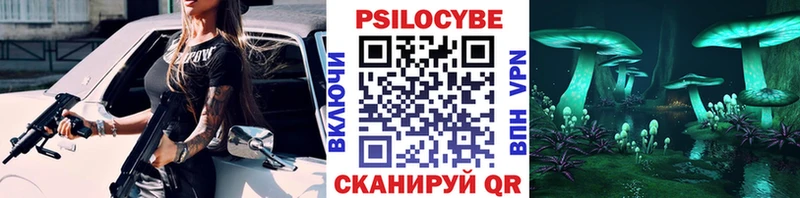 Купить закладки  Уржум  Псилоцибиновые грибы мицелий 