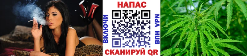 Купить  Уржум  Бошки марихуана Bruce Banner 